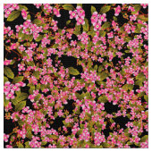 Rosa Blume Stoff (Nahaufnahme)