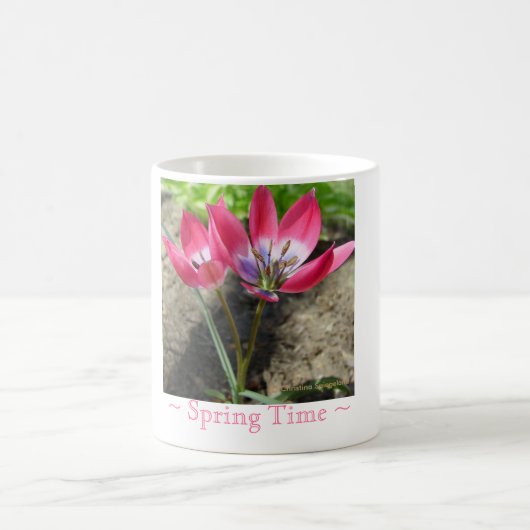 Rosa Blume Tasse (Mittel)