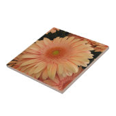 Rosa Blume Tile Fliese (Seite)