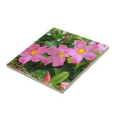 Rosa Blume Tile Fliese (Seite)
