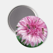 Rosa Blume und Bug Magnet (Vorderseite/Rückseite)
