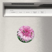 Rosa Blume und Bug Magnet (In Situ (Geschirrspüler))