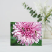 Rosa Blume und Bug Postkarte (Stehend Vorderseite)