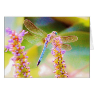 rosa Blume und Drachefliege