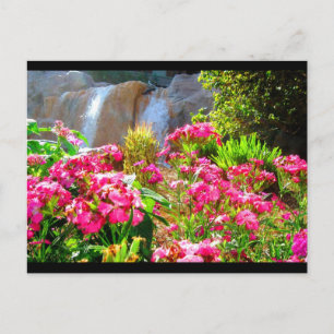 Rosa Blume und Wasserfall Postkarte