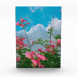 Rosa Blume unter blauem Himmel mit Wolken - Natur Fotoblock