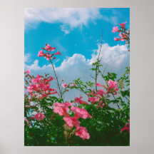Rosa Blume unter blauem Himmel mit Wolken - Natur