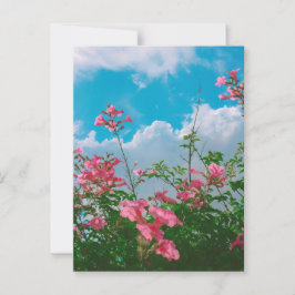 Rosa Blume unter blauem Himmel mit Wolken - Natur Postkarte