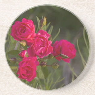 Rosa Blume Untersetzer
