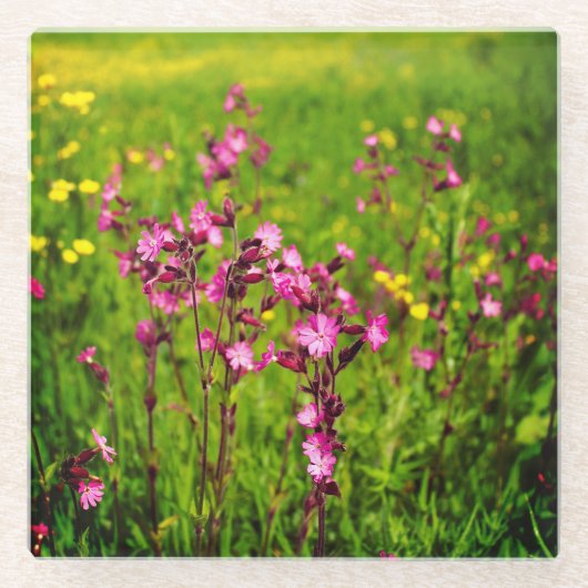 Rosa Blume Untersetzer (Vorderseite)