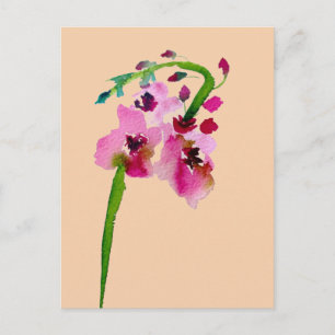 Rosa Blume Verbascum Blütenröte Kunst Postkarte