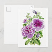 Rosa Blume Vintag Botanische Postkarte (Vorne/Hinten)