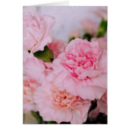 Rosa Blume Vintage Stilfotografie