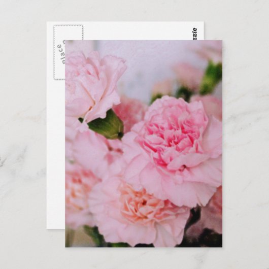 Rosa Blume Vintage Stilfotografie Postkarte (Vorne/Hinten)