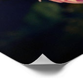 Rosa Blume vom Garten Poster (Ecke)