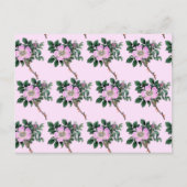 Rosa Blume, wilde Rose, Rose der Hunde, Muster der Postkarte (Vorderseite)