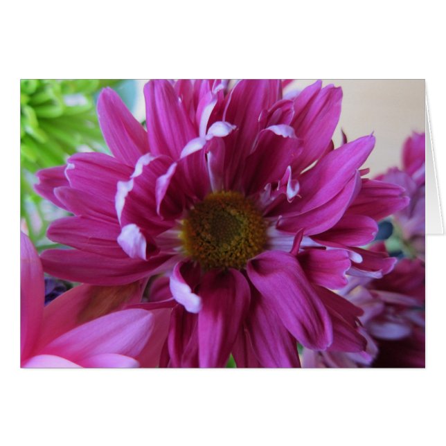 Rosa Blumen (Vorderseite (Horizontal))