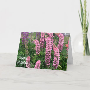 Rosa Blumen Alles Gute Zum Geburtstag Karte