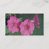 Rosa Blumen der Petunien Visitenkarte (Rückseite)