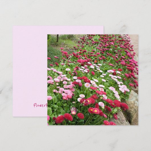 Rosa Blumen Flache Grußkarte Karte (Vorne/Hinten)