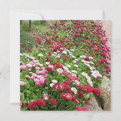 Rosa Blumen Flache Grußkarte Karte (Vorderseite)