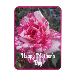 Rosa Blumen Floral Rose Müttertag Karte Magnet