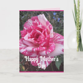 Rosa Blumen Floral Rose Müttertags Karte