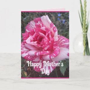 Rosa Blumen Floral Rose Müttertags Karte
