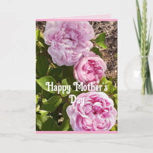 Rosa Blumen Floral Rose Müttertags-Karte Karte