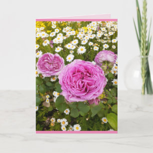 Rosa Blumen Floral Rose Rosen Gänseblümchen Grüße Karte