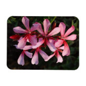 Rosa Blumen Foto Magnet (Horizontal)