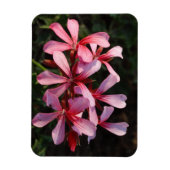 Rosa Blumen Foto Magnet (Vertikal)