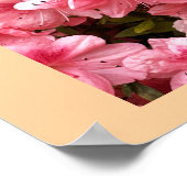 Rosa Blumen Foto Poster (Ecke)