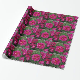 Rosa Blumen Fotografie Geschenkpapier