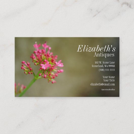 Rosa Blumen-Geschäfts-Karte Visitenkarte (Vorderseite)