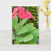Rosa Blumen Grußkarte Karte (Gelbe Blume)