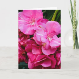 Rosa Blumen Grußkarte Karte