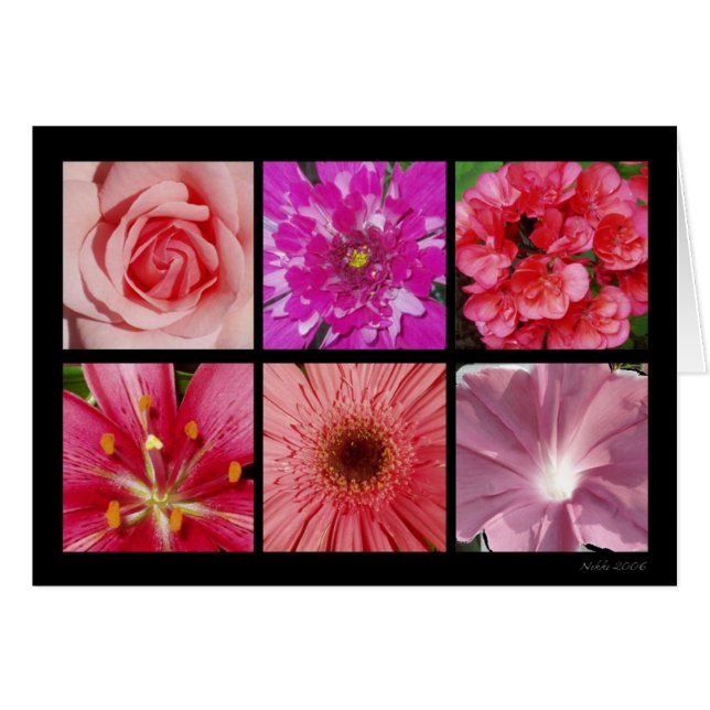 Rosa Blumen-Karte (Vorderseite (Horizontal))