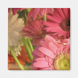 Rosa Blumen Magnet