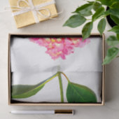 Rosa Blumen Rosa Hydrangea Seidenpapier (Geschenk)