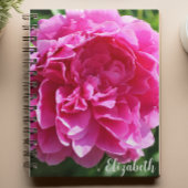 Rosa Blumenfotografie Elegante Peony Custom Notizblock