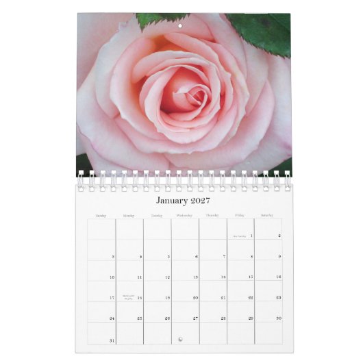 Rosa Blumenkalender der Rosen-2011 Kalender (Jan 2027)