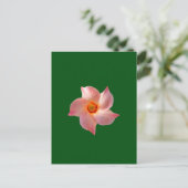 Rosa Blumenkunst Postkarte (Stehend Vorderseite)