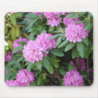 Rosa BlumenMousepad Mousepad