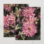 Rosa Blumenmuster Kunst von Renee Lavoie Postkarte (Vorne/Hinten)