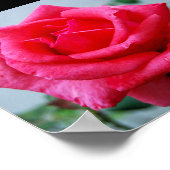 Rosa Blumenporträt in Pink Poster (Ecke)