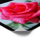 Rosa Blumenporträt in Pink Poster (Ecke)