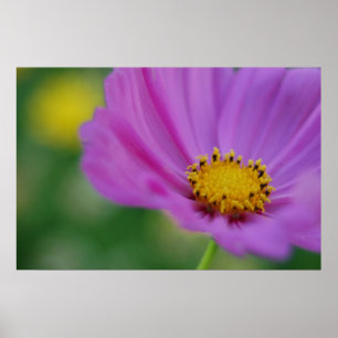 Rosa Blumenschrift Poster