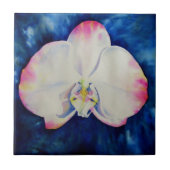 Rosa Blush Orchid Fliese (Vorderseite)