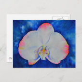 Rosa Blush Orchid Postkarte (Vorne/Hinten)